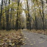 В Нижегородской области в ближайшие дни ожидается неустойчивая, изменчивая погода