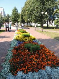 Результаты конкурса на лучшее озеленение и благоустройство территории города Чебоксары будут объявлены в ближайшие дни

