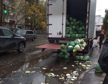 Около тонны капусты высыпалось на проезжую часть на улице Дьяконова в Нижнем Новгороде (Видео)