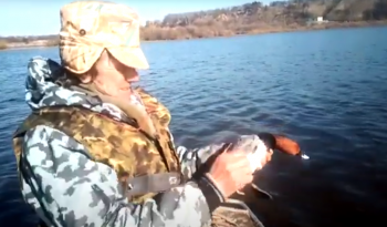 Утку спасли из браконьерских сетей в Нижегородской области (ВИДЕО)