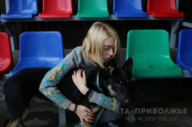 Нижегородцев могут штрафовать за посещение общественных мест с питомцами Нижегородцев могут штрафовать за посещение общественных мест с питомцами
