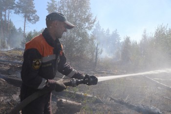 Площадь лесного пожара в Воротынском районе оценивается в 350 га