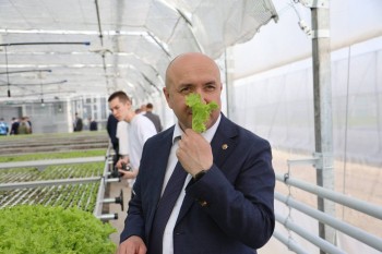 Первый урожай на гидропонике собрали в тепличном комплексе в Чувашии
