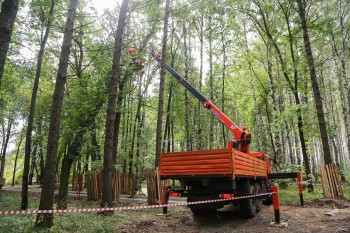 Общественный совет изучил программу обновления зеленых насаждений в парке &quot;Швейцария&quot;