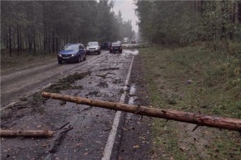 Последствия непогоды устраняют в Чебоксарах