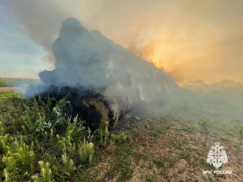 300 рулонов сена сгорели в Удмуртии 300 рулонов сена сгорели в Удмуртии