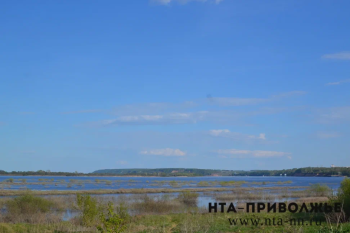 Слив сточных вод в р. Ветлуга зафиксировали в Нижегородской области