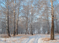 Народные приметы: 11 февраля