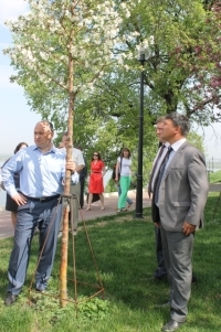 В Н.Новгороде на реализацию программы по озеленению будет дополнительно выделено 25 млн. рублей – Кондрашов