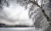 Морозная погода преимущественно без осадков сохранится в Нижегородской области в ближайшие дни