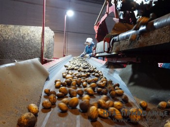 Почти 9 т. продукции АПК экспортировано из Чувашии с начала года Почти 9 т. продукции АПК экспортировано из Чувашии с начала года