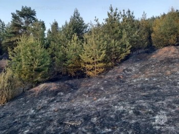 Первый лесной пожар зарегистрирован в Кировской области