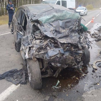 Трое погибли в ДТП под Выксой Нижегородской области