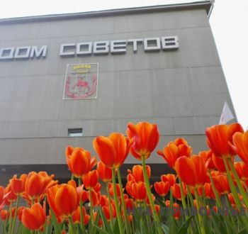 Нижний Новгород стал 3-м городом-миллионником по прибыли организаций Нижний Новгород стал 3-м городом-миллионником по прибыли организаций