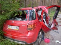 В Нижегородской области девушка на иномарке совершила наезд на дерево, погибли три студента-пассажира 