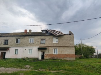 Сильный ветер повалил деревья и оставил без света жителей Саратовской области