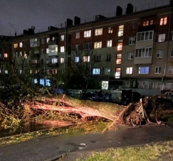 Штормовым ветром в Чебоксарах повалено 10 деревьев и сорвано 16 крыш