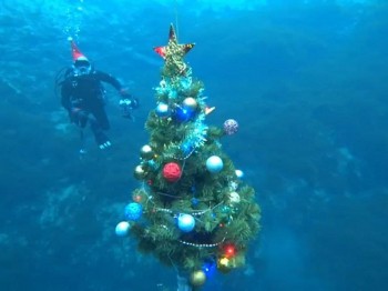  Казанские аквалангисты установили на дне Голубого озера новогоднюю елку