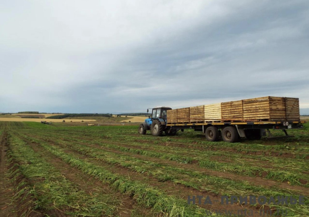 118 млн рублей выделят аграриям Чувашии на закупку удобрений в 2026 году