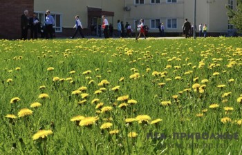 Народные приметы: 18 июня