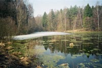 В Нижегородской области сход снега начнется в середине апреля - Гидрометцентр