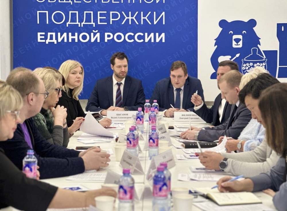 Механизмы поддержки материнства и детства обсудили в нижегородском штабе ЕР