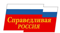 НРО &quot;Справедливой России&quot; выдвинуло кандидатуры Шавриной и Пьехи в депутаты нижегородского Заксобрания (список)