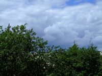 Прохладная облачная погода сохранится в Нижегородской области в ближайшие дни

