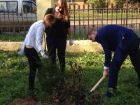 Сотрудники ДУК Советского района Нижнего Новгорода и ученики школы №29 посадили деревья на пришкольной территории

