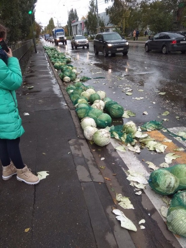 Около тонны капусты высыпалось на проезжую часть на улице Дьяконова в Нижнем Новгороде (Видео) Около тонны капусты высыпалось на проезжую часть на улице Дьяконова в Нижнем Новгороде (Видео)
