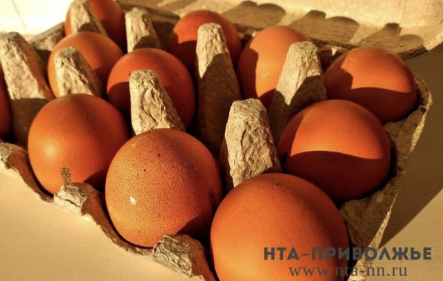 Втрое больше яиц начали производить в Чувашии за I полугодие
