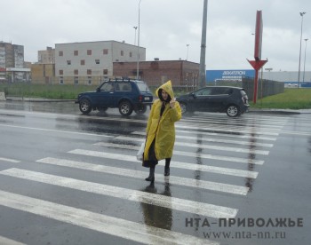 Грозы с сильным ветром прогнозируются в Нижегородской области в ближайшие часы