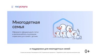 Многодетные нижегородцы могут ускорить оформление льгот через "Госуслуги"
