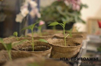 Зарплату саратовских аграриев планируют повысить до ₽92 тыс. к 2030 году