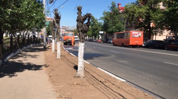 Газонную траву высаживают на придорожной полосе Зеленского съезда в Нижнем Новгороде