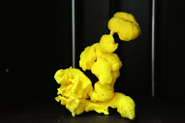 Нижегородские врачи создали 3D-модель кишечника для лечения врожденных патологий Нижегородские врачи создали 3D-модель кишечника для лечения врожденных патологий