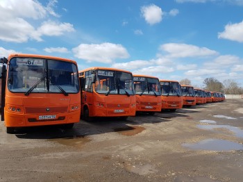 Нижегородский минтранс вернул подтверждение на право работы перевозчику на маршруте Т-67