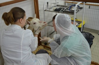 30 работников АПК Нижегородской области получили выплаты на жильё