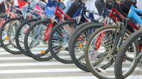 Главный маршал велопробега по городу Чебоксары Вячеслав Платонов призывает 16 мая соблюдать правила массового старта и катания на велосипедах

