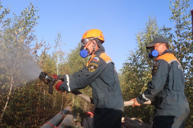 Площадь горения леса в Воротынском районе Нижегородской области сократилась до 70 га