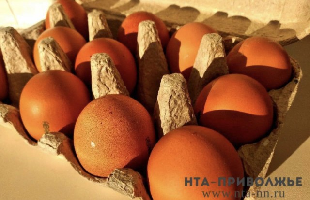 2 млн куриных яиц ввезли в Чувашию из Узбекистана