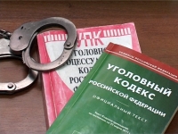 В Нижегородской области в 2012 году в количество зарегистрированных преступлений сократилось почти на 16%