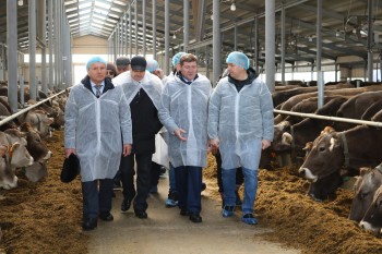 Молочный комплекс на 800 голов КРС открыли в Нижегородской области