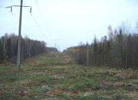 &quot;Нижновэнерго&quot; выполнило программу 2012 года по расчистке просек на 76%