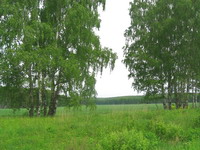 Народные приметы: 31 июля