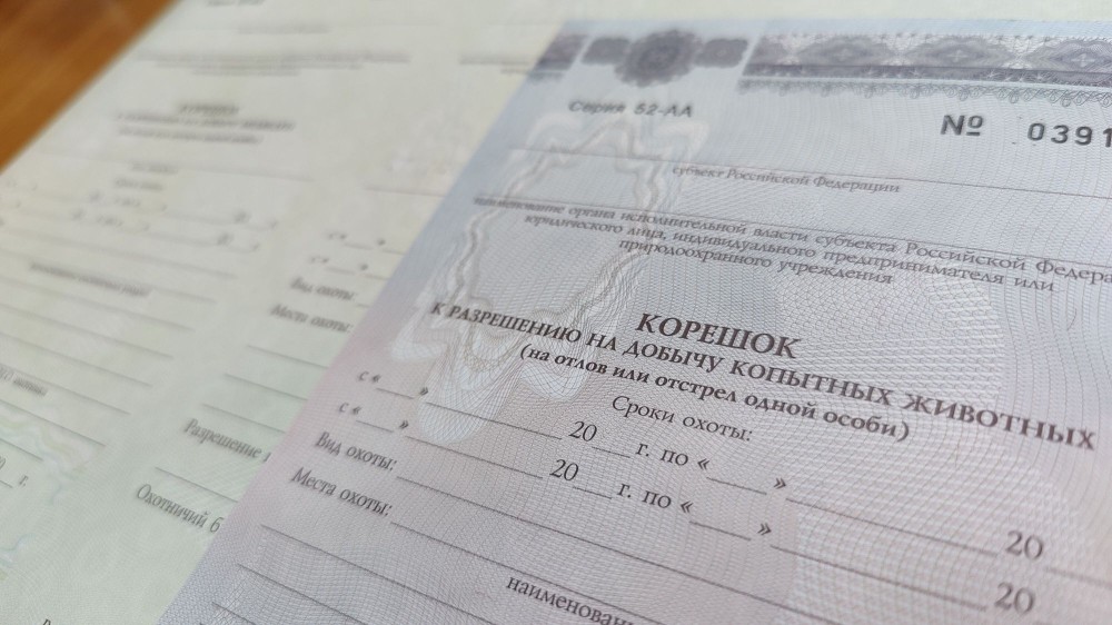 В регионе начался прием заявлений на охотничью жеребьевку