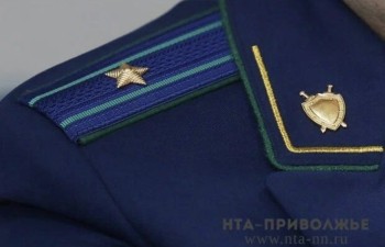 Прокуратура разбирает ситуацию с побегом хищника из нижегородского зоопарка Прокуратура разбирает ситуацию с побегом хищника из нижегородского зоопарка