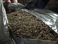 Наркополицейские изъяли более 1 кг марихуаны у 59-летнего нижегородца
