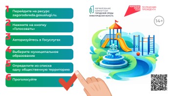 Более 16 500 нижегородцев проголосовали за два дня