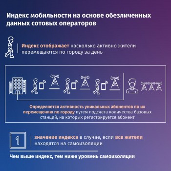 Индекс мобильности граждан в период пандемии будет публиковаться на сайте Стратегии развития Нижегородской области